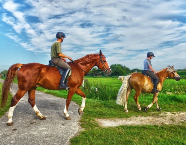 Benefits of Outdoor Sports - Horse Riding, Applicable People and Precautions