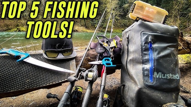 What Equipment or Tools Must Fishing Beginners and Enthusiasts Buy? How to Use Them Correctly