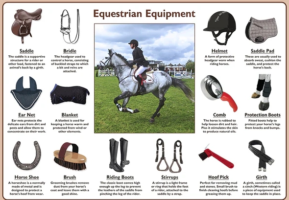 Essential Equipment for Horse Riding Beginners and Enthusiasts