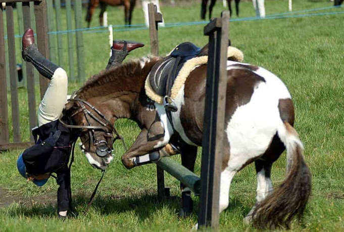 What Accidents or Injuries May Occur When Playing Horse Riding? How to Deal with Emergencies