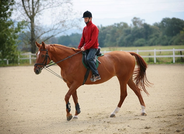 What Equipment and Tools Must Men Bring When Playing Horse Riding Outdoors?