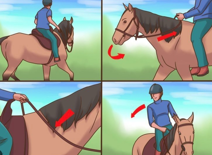 If You Learn These Skills and Tips for Playing Horse Riding Outdoors, Will You Become a Master?