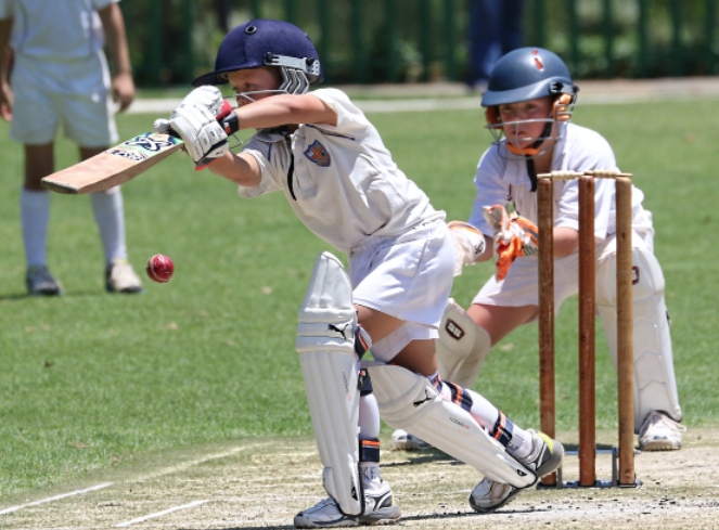 What Equipment and Precautions Do I Need to Bring When Playing Cricket Outdoors in Spring?