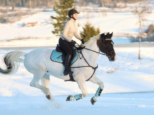 What Equipment and Precautions Do I Need to Bring When Playing Horse Riding Outdoors in Winter?