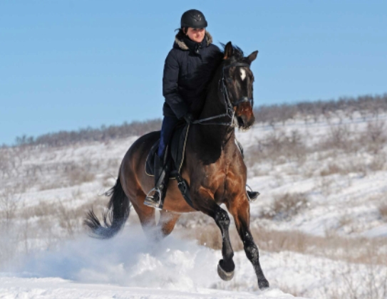 What Equipment Do You Need to Bring and What Precautions Should You Take When Playing Horse Riding Outdoors in Extreme Weather?