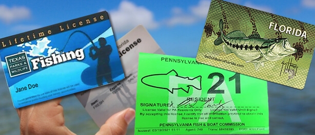 How to Choose and Obtain Fishing License ?