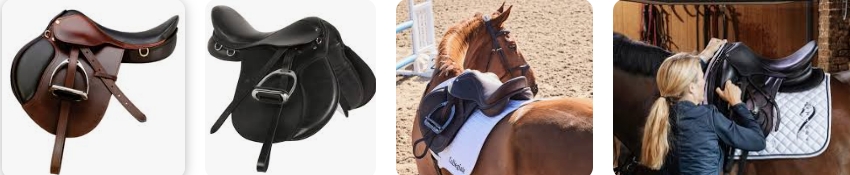 How to Choose and Buy Horse Riding Saddle ?