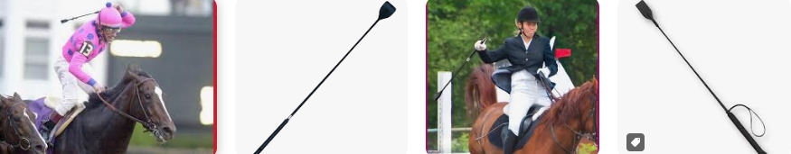 How to Choose and Buy Horse Riding Crop ?